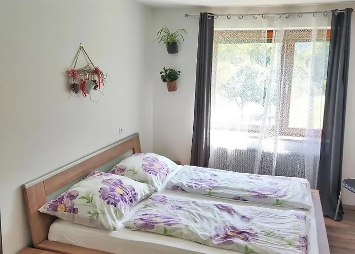 Unterm Nussbaum 2 Rassnig